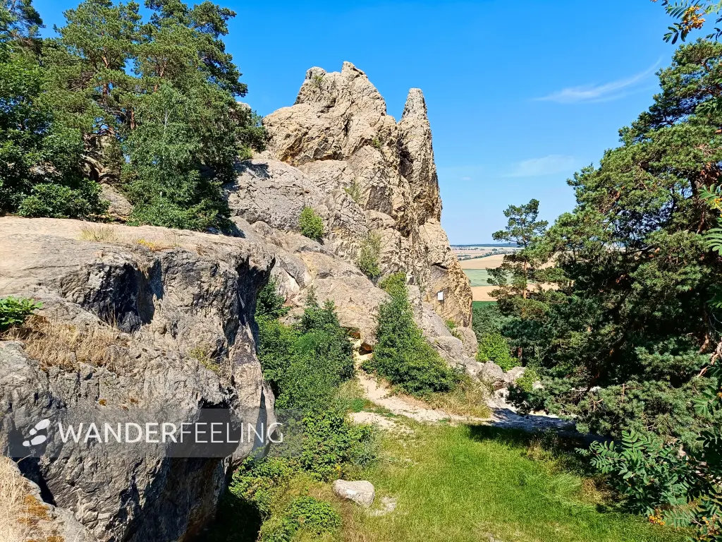 202406250-54 - Hamburger Wappen an der Teufelsmauer bei Timmenrode, Harz, Sachsen-Anhalt, Deutschland