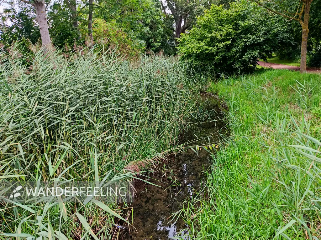202308151-01 - Hamel in Hameln, Weserbergland, Niedersachsen, Deutschland