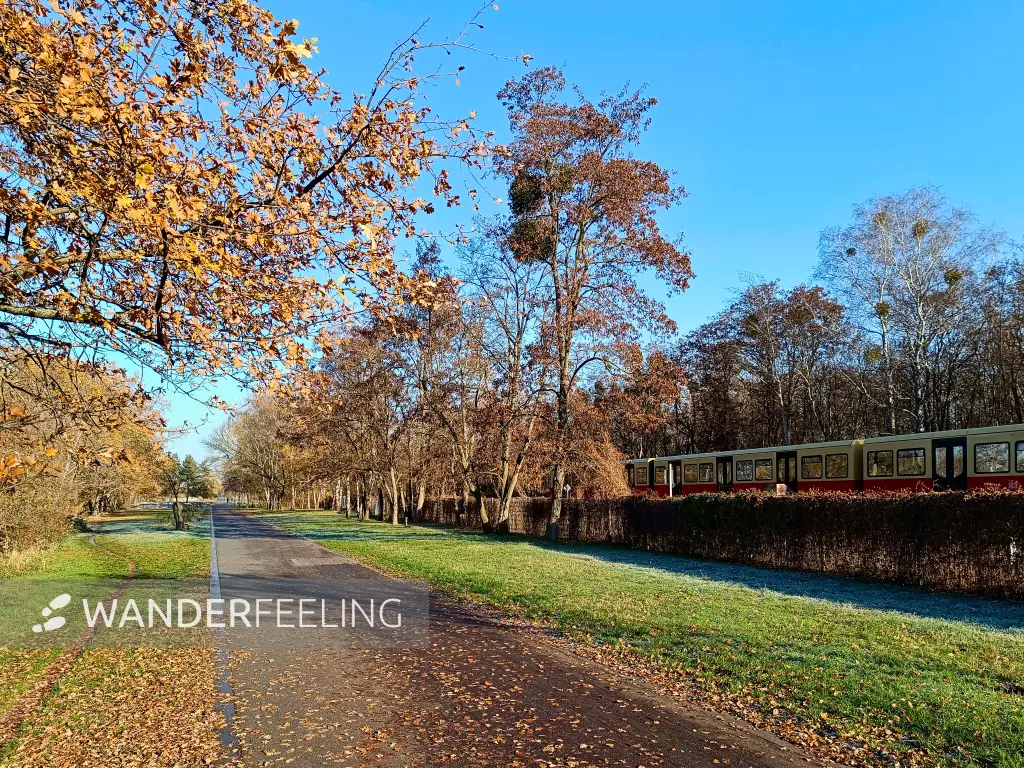 202511220-08 - Hans-Baluschek-Park in Schöneberg, Berlin, Deutschland