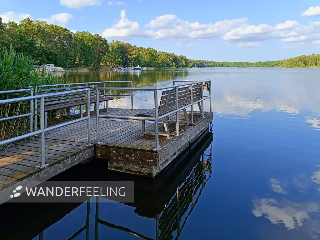 202506110-45 - Haussee bei Himmelpfort, Ruppiner Seenland, Brandenburg, Deutschland