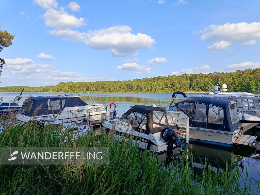 202506110-47 - Haussee bei Himmelpfort, Ruppiner Seenland, Brandenburg, Deutschland