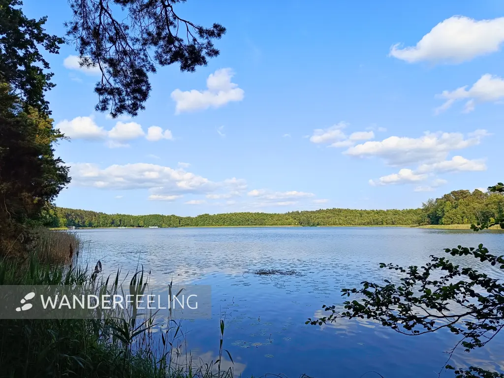 202506110-49 - Haussee bei Himmelpfort, Ruppiner Seenland, Brandenburg, Deutschland