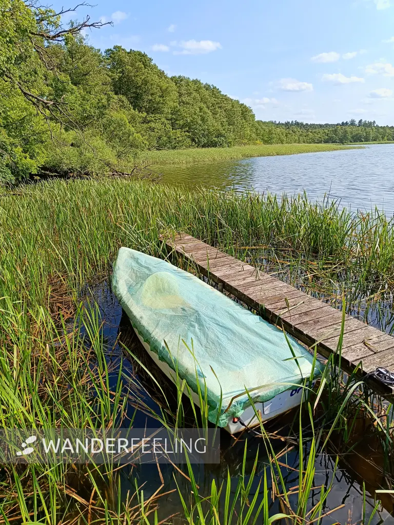 202506110-20 - Haussee bei Pian, Ruppiner Seenland, Brandenburg, Deutschland