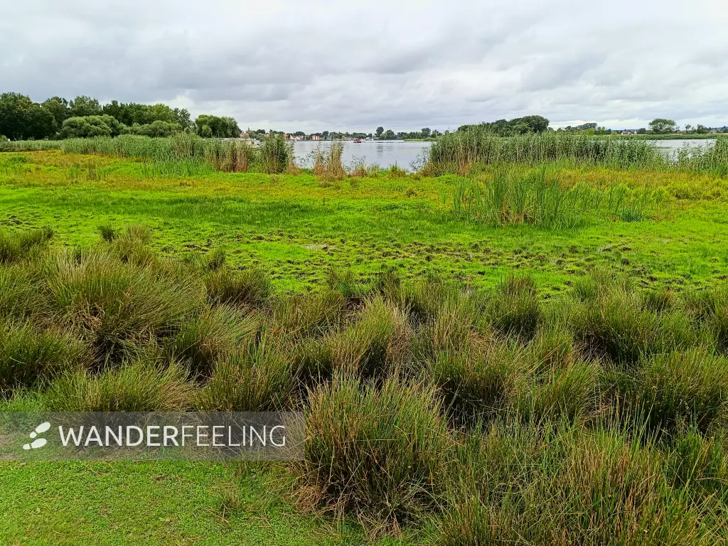 202507260-05 - Havel bei Kützkow, Havelland, Brandenburg, Deutschland