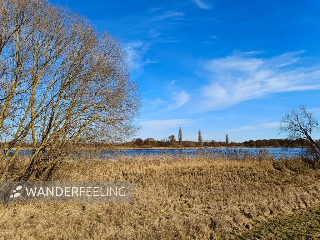 202603020-15 - Havel bei Phöben, Havelland, Brandenburg, Deutschland