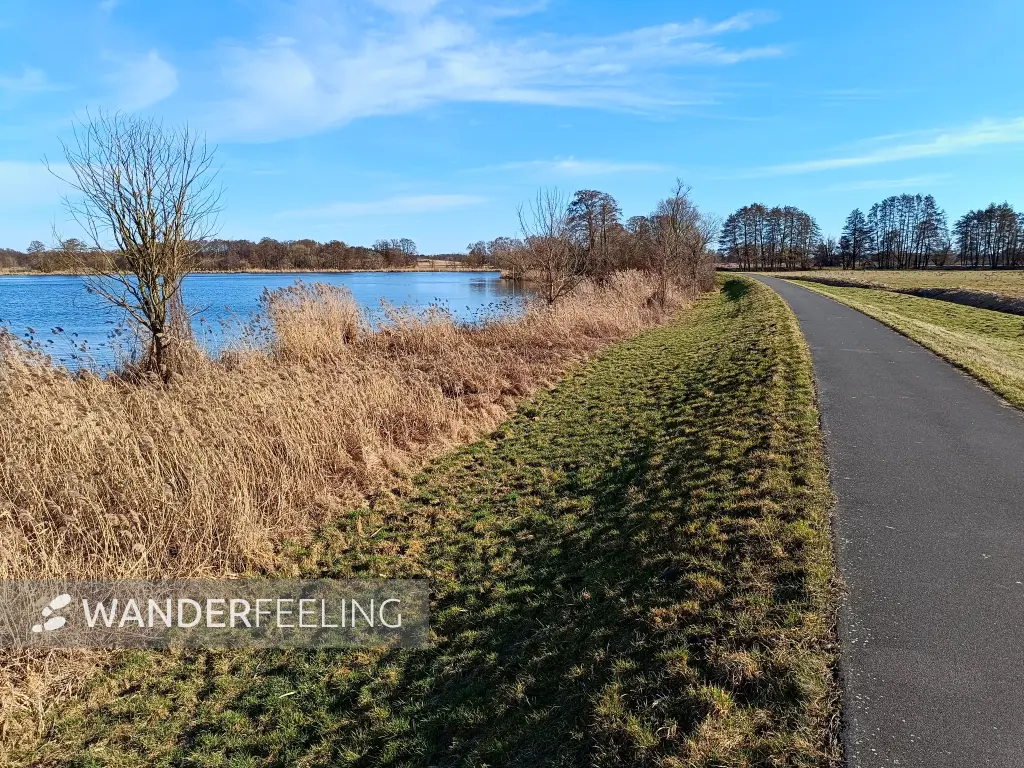 202603020-16 - Havel bei Phöben, Havelland, Brandenburg, Deutschland