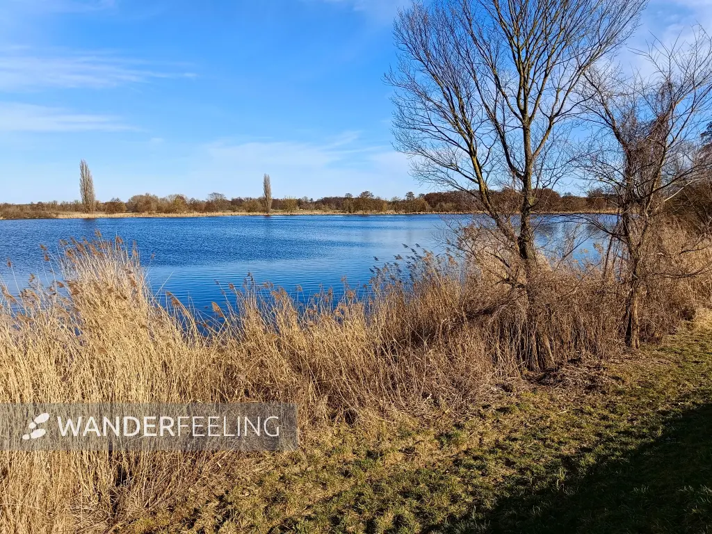 202603020-17 - Havel bei Phöben, Havelland, Brandenburg, Deutschland