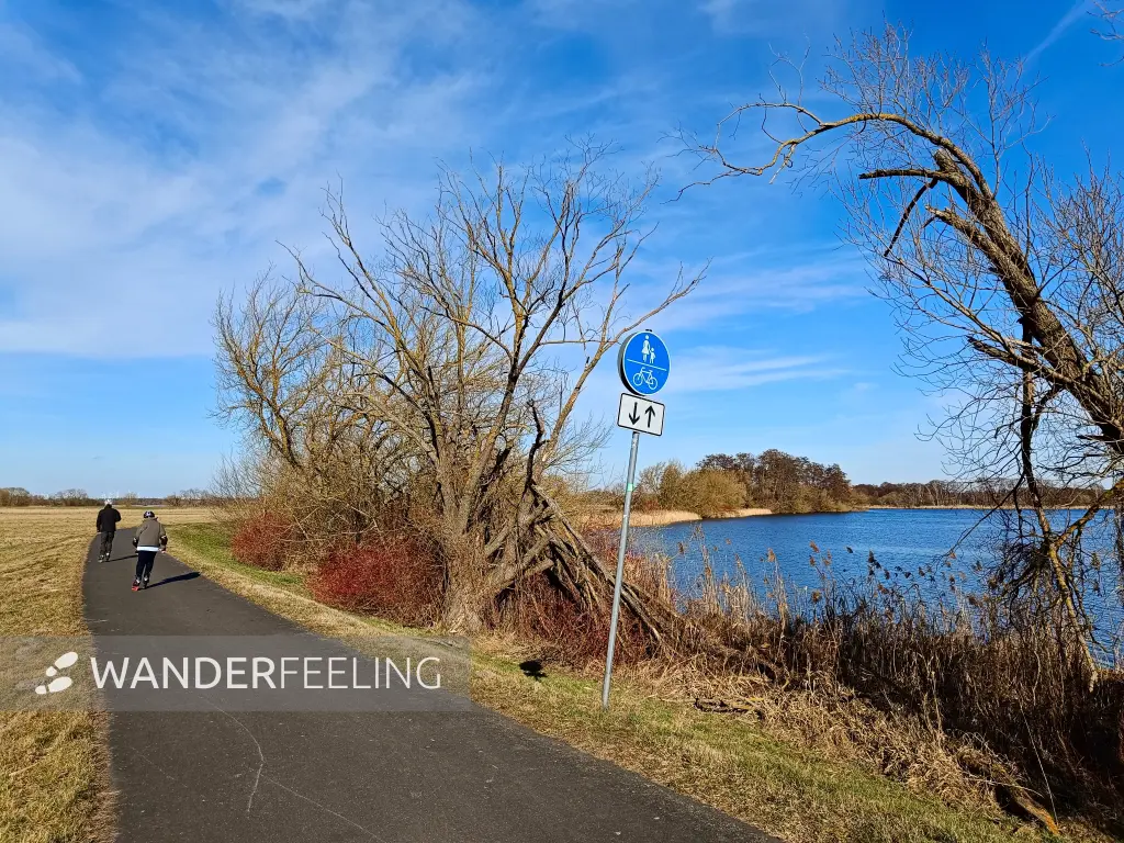 202603020-19 - Havel bei Phöben, Havelland, Brandenburg, Deutschland