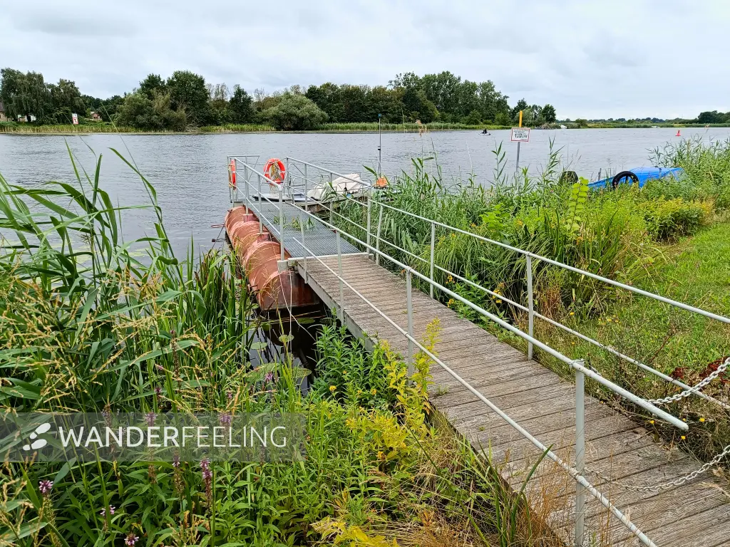202507260-02 - Havel bei Pritzerbe, Havelland, Brandenburg, Deutschland