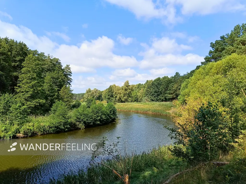 202508160-06 - Havel in der Kleinen Schorfheide, Uckermark, Brandenburg, Deutschland