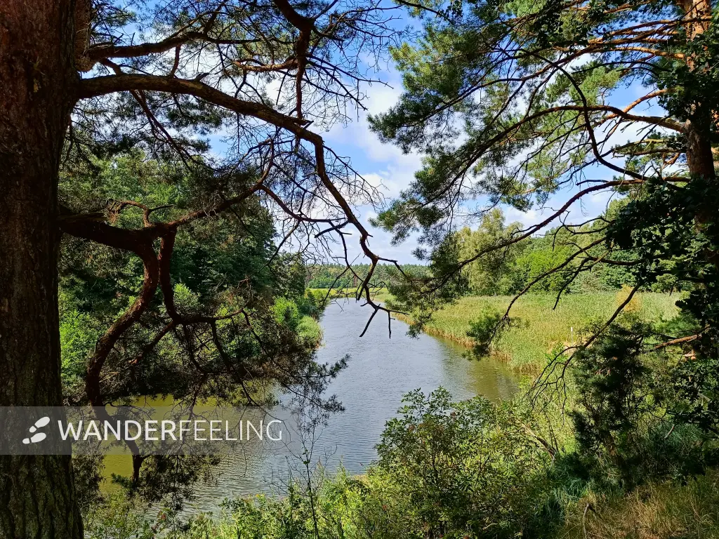 202508160-07 - Havel in der Kleinen Schorfheide, Uckermark, Brandenburg, Deutschland