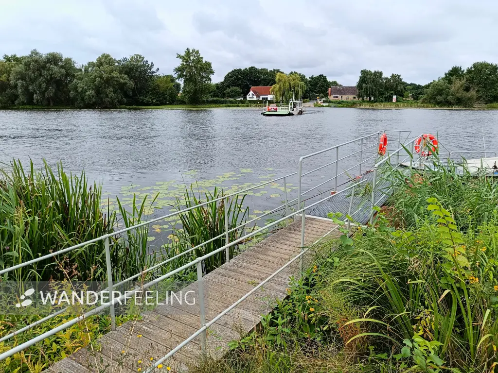 202507260-03 - Havel mit Havelfähre bei Pritzerbe, Havelland, Brandenburg, Deutschland