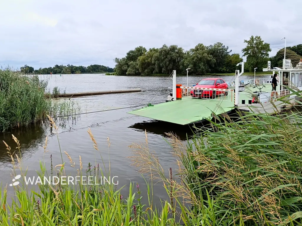 202507260-04 - Havel mit Havelfähre bei Pritzerbe, Havelland, Brandenburg, Deutschland