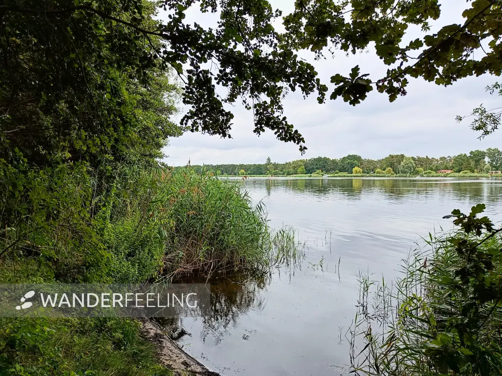 202507260-07 - Havel zwischen Pritzerbe und Plaue, Havelland, Brandenburg, Deutschland