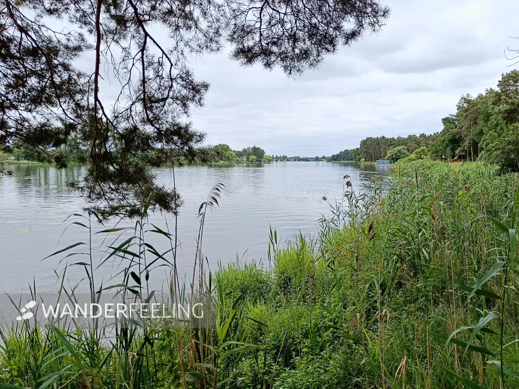 202507260-15 - Havel zwischen Pritzerbe und Plaue, Havelland, Brandenburg, Deutschland