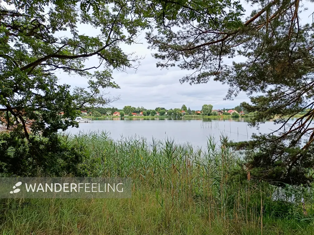 202507260-16 - Havel zwischen Pritzerbe und Plaue, Havelland, Brandenburg, Deutschland