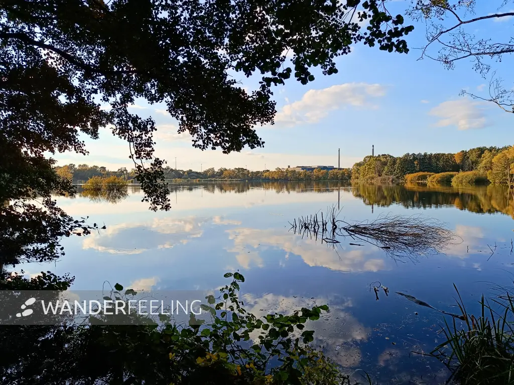 202510030-25 - Havelauen bei Hennigsdorf, Barnimer Land, Brandenburg, Deutschland