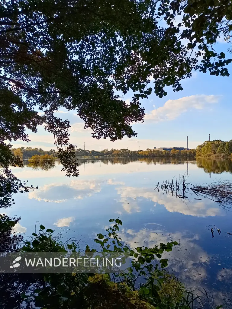 202510030-26 - Havelauen bei Hennigsdorf, Barnimer Land, Brandenburg, Deutschland