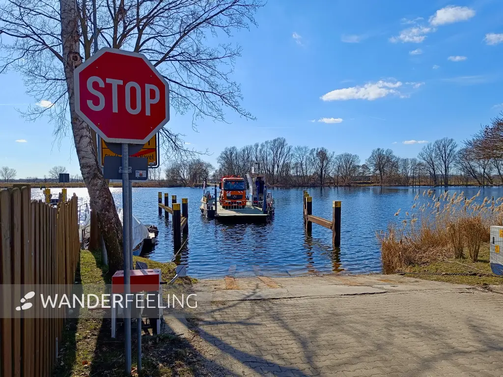 202603020-11 - Havelfähre in Ketzin, Havelland, Brandenburg, Deutschland