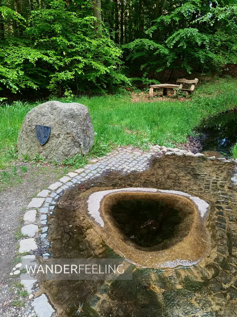 202505130-34 - Havelquelle im Müritz-Nationalpark, Mecklenburgische Seenplatte, Mecklenburg-Vorpommern, Deutschland