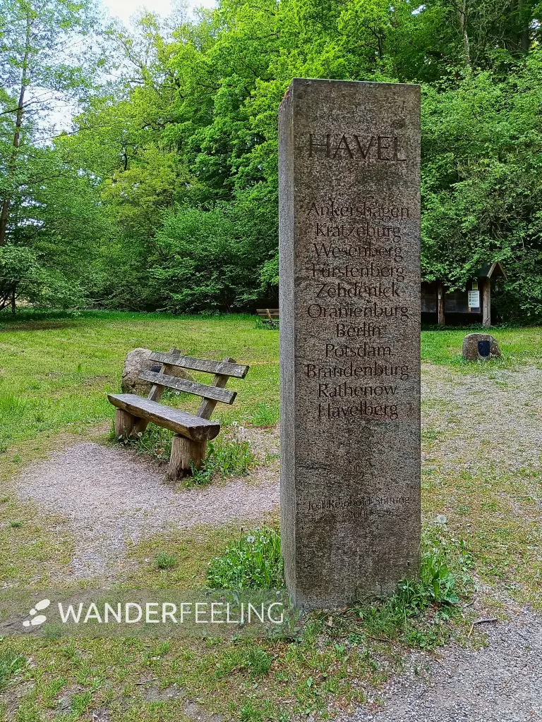 202505130-37 - Havelquelle im Müritz-Nationalpark, Mecklenburgische Seenplatte, Mecklenburg-Vorpommern, Deutschland