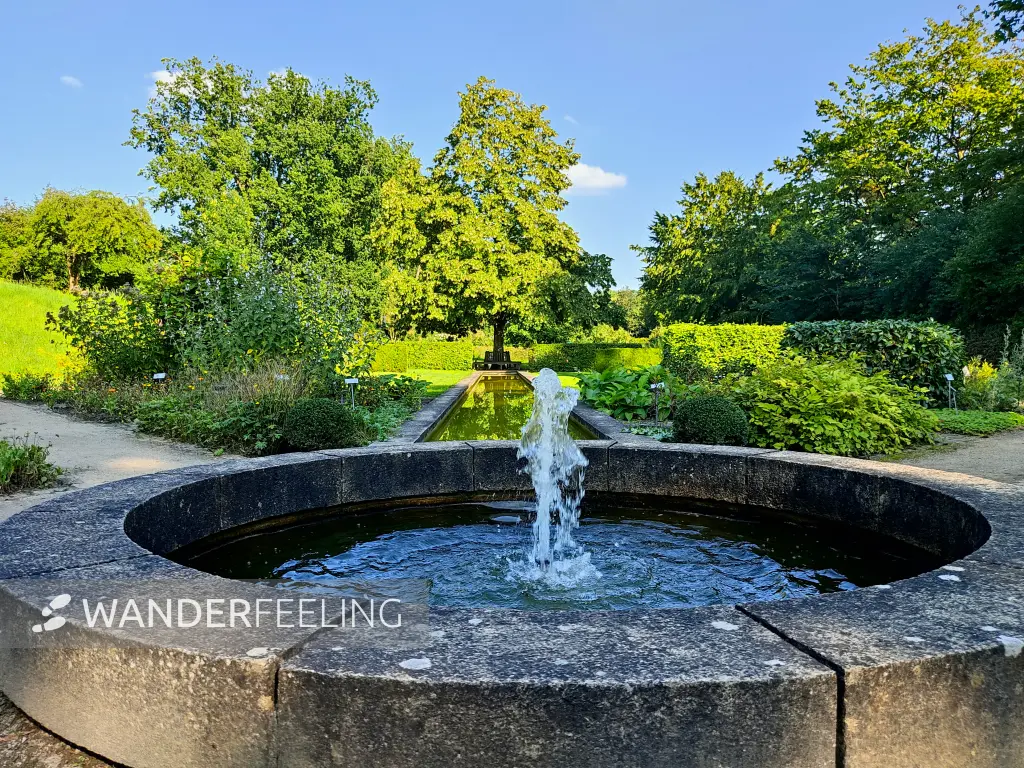 202308181-19 - Heilpflanzengarten in Celle, Lüneburger Heide, Niedersachsen, Deutschland