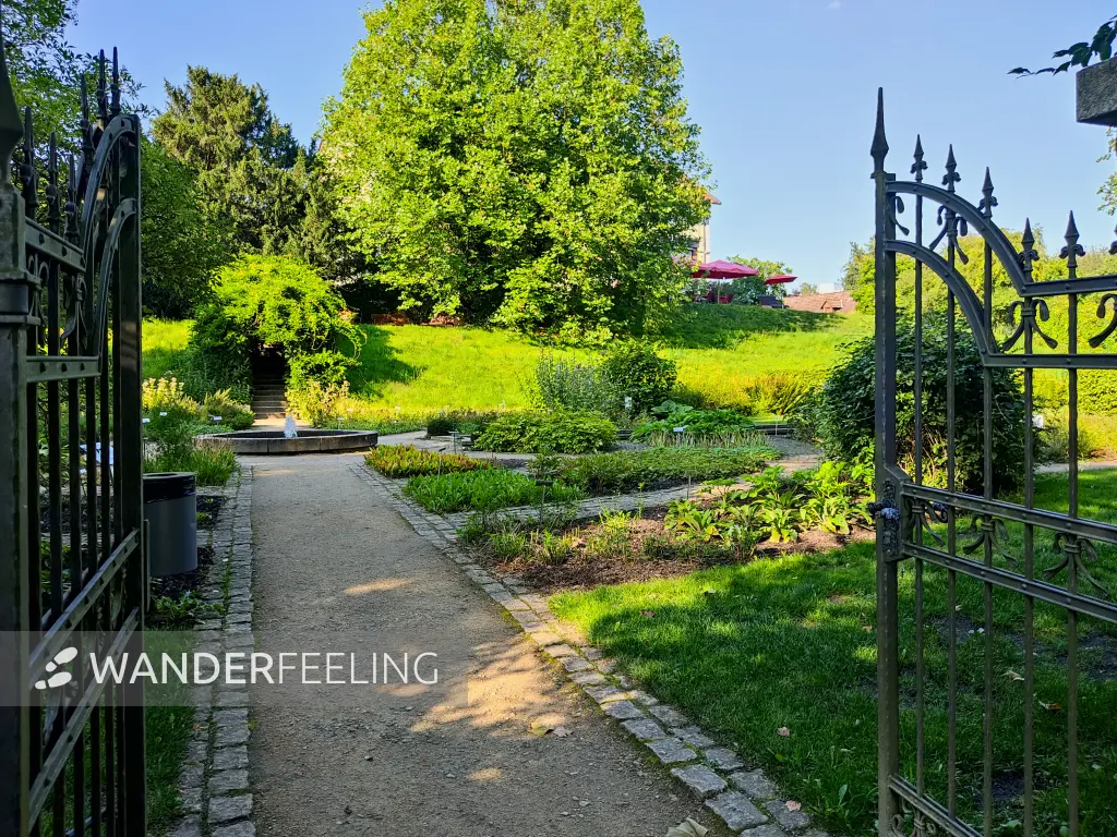 202308181-20 - Heilpflanzengarten in Celle, Lüneburger Heide, Niedersachsen, Deutschland