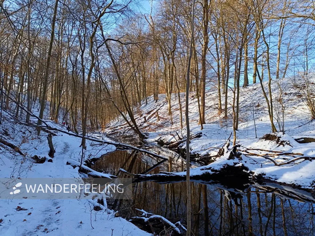 202502150-09 - Hellmühler Fließ im Biesenthaler Becken, Barnimer Land, Brandenburg, Deutschland