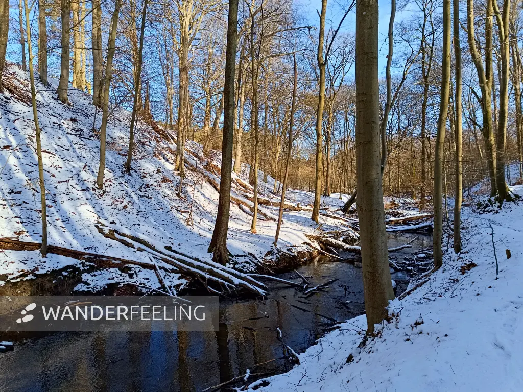 202502150-10 - Hellmühler Fließ im Biesenthaler Becken, Barnimer Land, Brandenburg, Deutschland