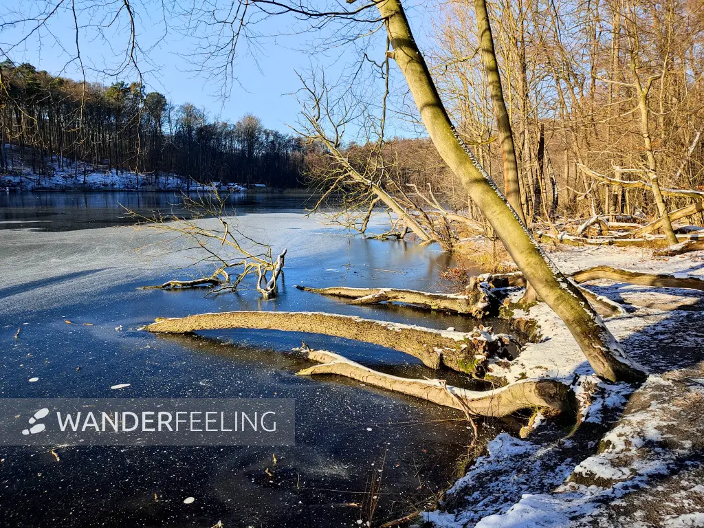 202401090-07 - Hellsee im Biesenthaler Becken, Barnimer Land, Brandenburg, Deutschland