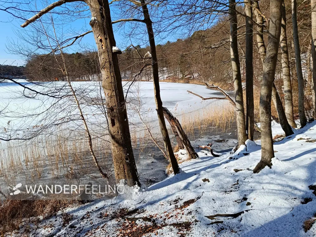 202502150-17 - Hellsee im Biesenthaler Becken, Barnimer Land, Brandenburg, Deutschland