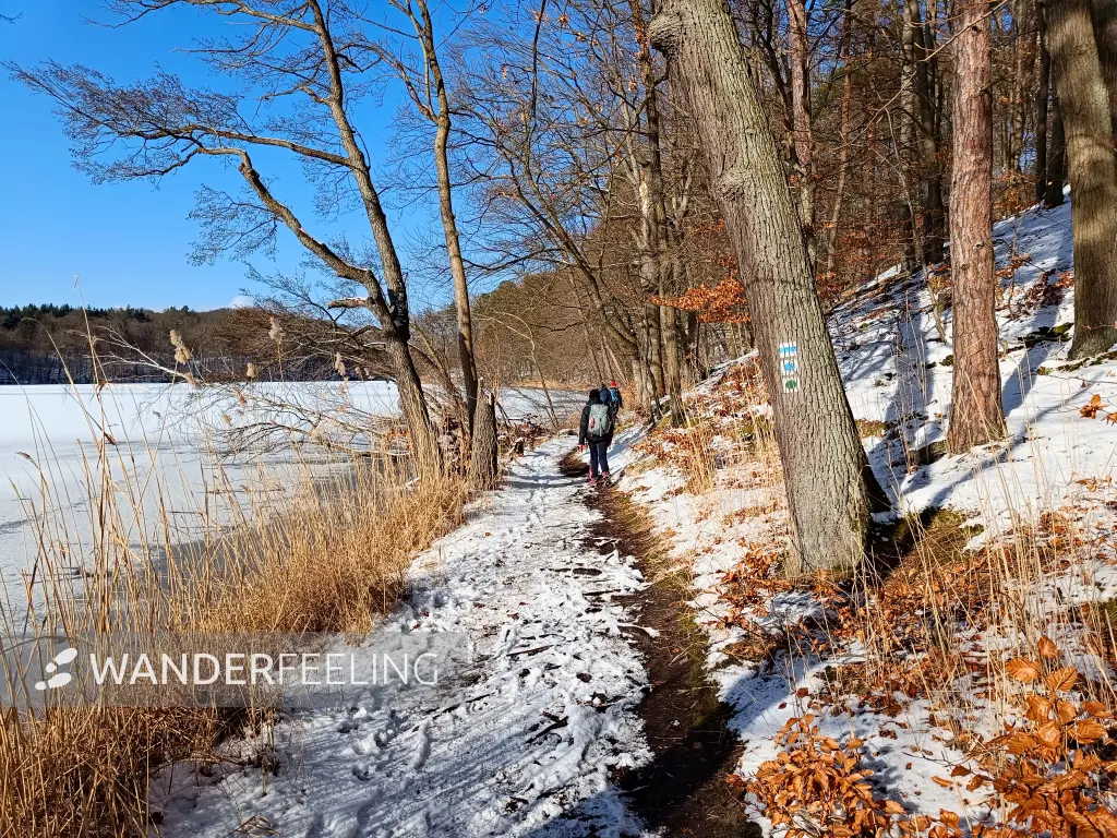 202502150-20 - Hellsee im Biesenthaler Becken, Barnimer Land, Brandenburg, Deutschland
