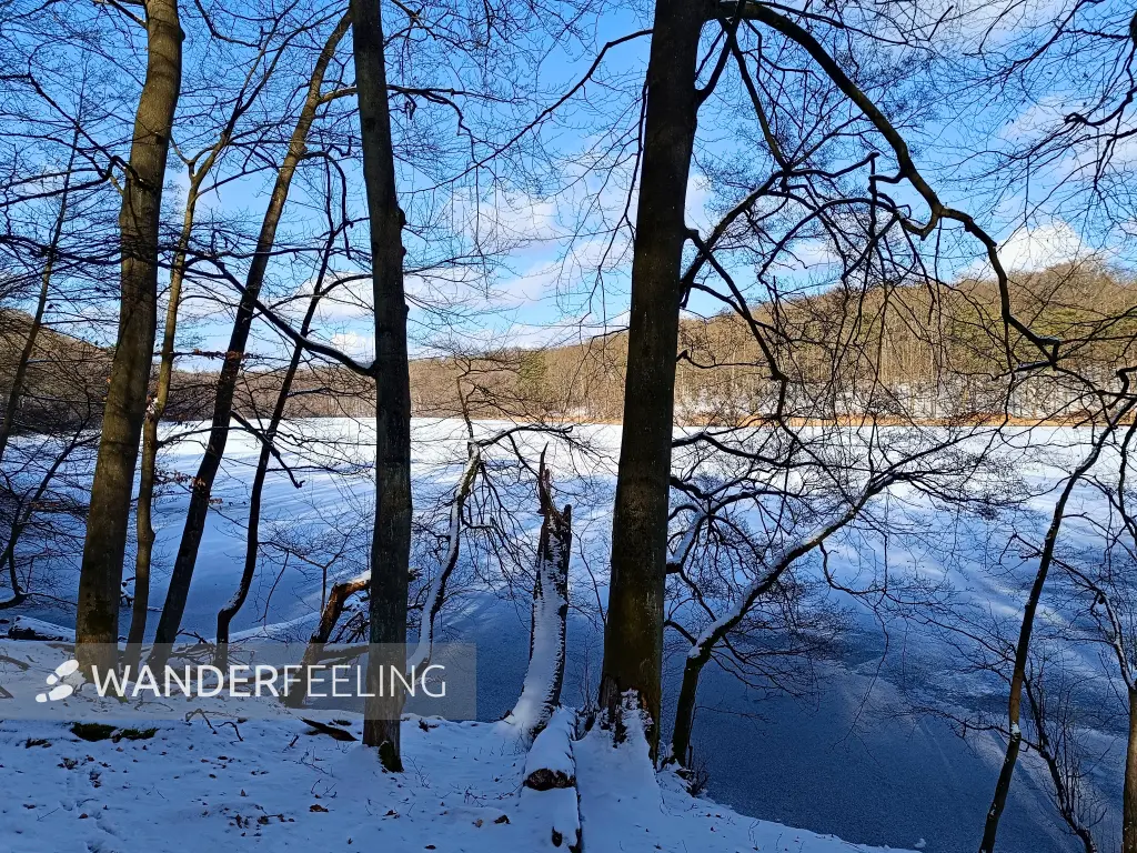 202502150-22 - Hellsee im Biesenthaler Becken, Barnimer Land, Brandenburg, Deutschland