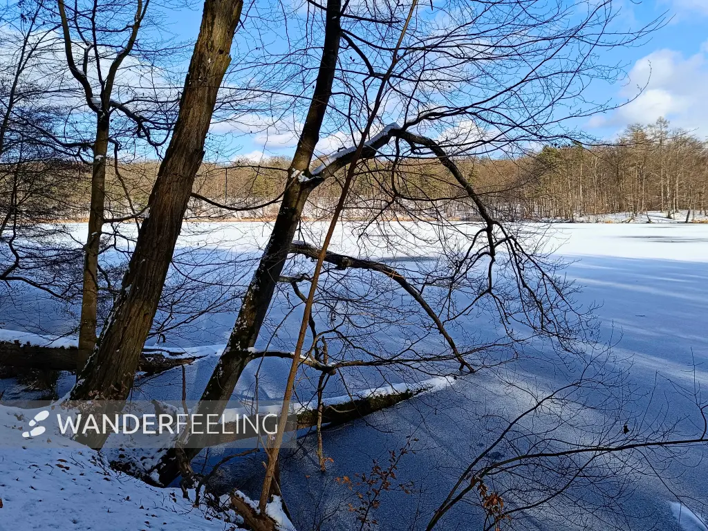 202502150-24 - Hellsee im Biesenthaler Becken, Barnimer Land, Brandenburg, Deutschland