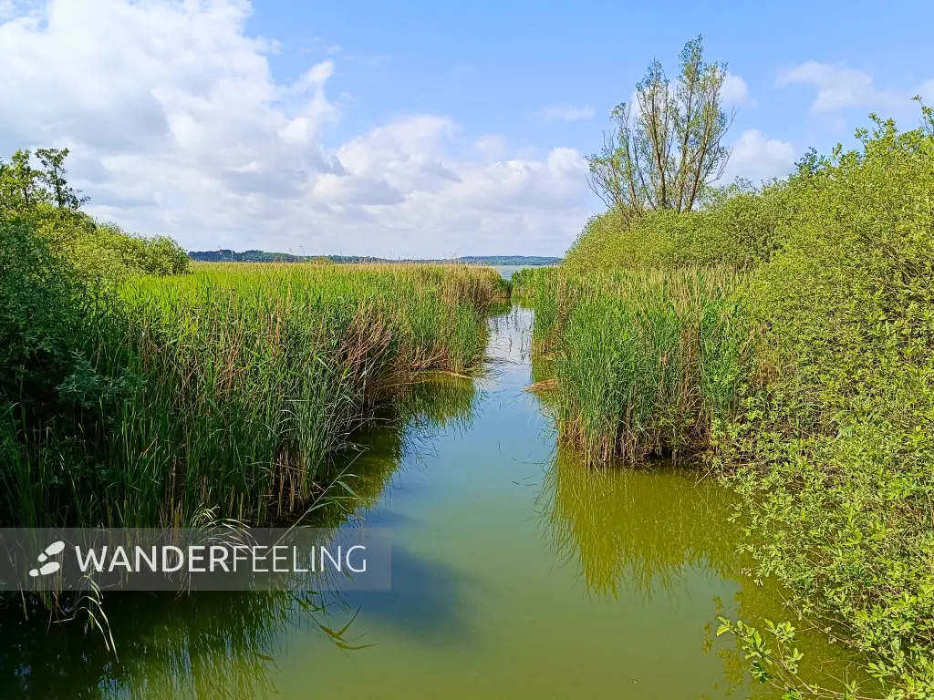 202406050-13 - Hemmelsdorfer See an der Aalbeek-Niederung, Lübecker Bucht, Schleswig-Holstein, Deutschland