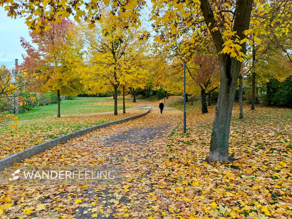 202311020-05 - Herrmann-Weingärtner-Weg in Frankfurt (Oder), Seenland Oder-Spree, Brandenburg, Deutschland