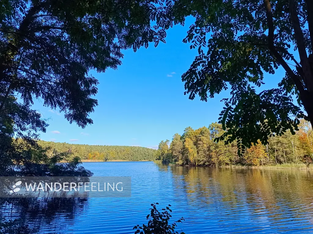 202610190-09 - Herzberger See bei Glienicke, Seenland Oder-Spree, Brandenburg, Deutschland