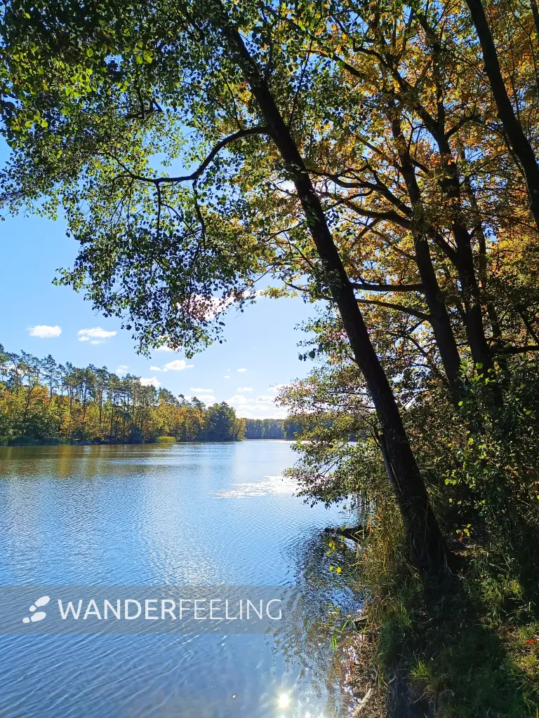 202610190-10 - Herzberger See bei Glienicke, Seenland Oder-Spree, Brandenburg, Deutschland