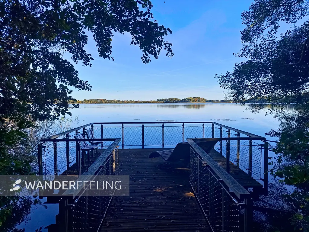 202510130-27 - Himmelssteg im Kurwald bei Krakow am See, Mecklenburgische Seenplatte, Mecklenburg-Vorpommern, Deutschland