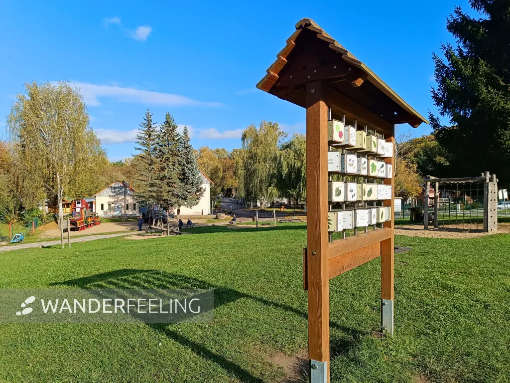 202510210-41 - Hinterste Mühle in Neubrandenburg, Mecklenburgische Seenplatte, Mecklenburg-Vorpommern, Deutschland