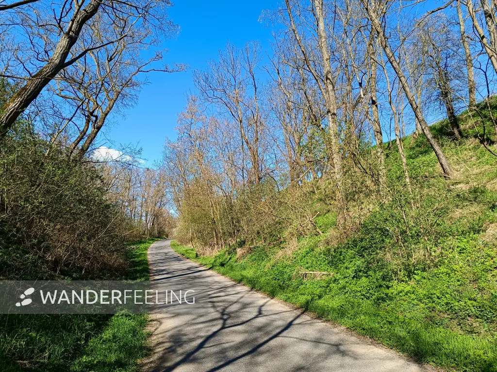 202604150-27 - Hohlweg bei Klessin, Seenland Oder-Spree, Brandenburg, Deutschland