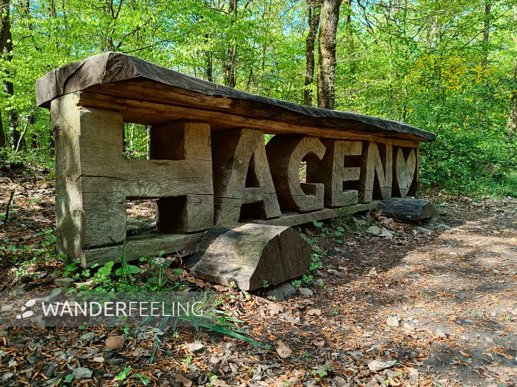 202604210-21 - Holzbank im Stadtwald Hagen, Ruhrgebiet, Nordrhein-Westfalen, Deutschland
