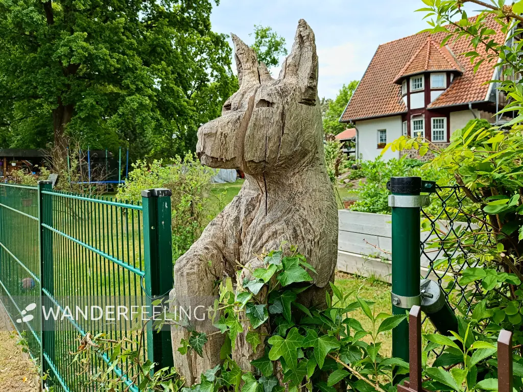 202505170-08 - Holzhund in Kummersdorf, Seenland Oder-Spree, Brandenburg, Deutschland