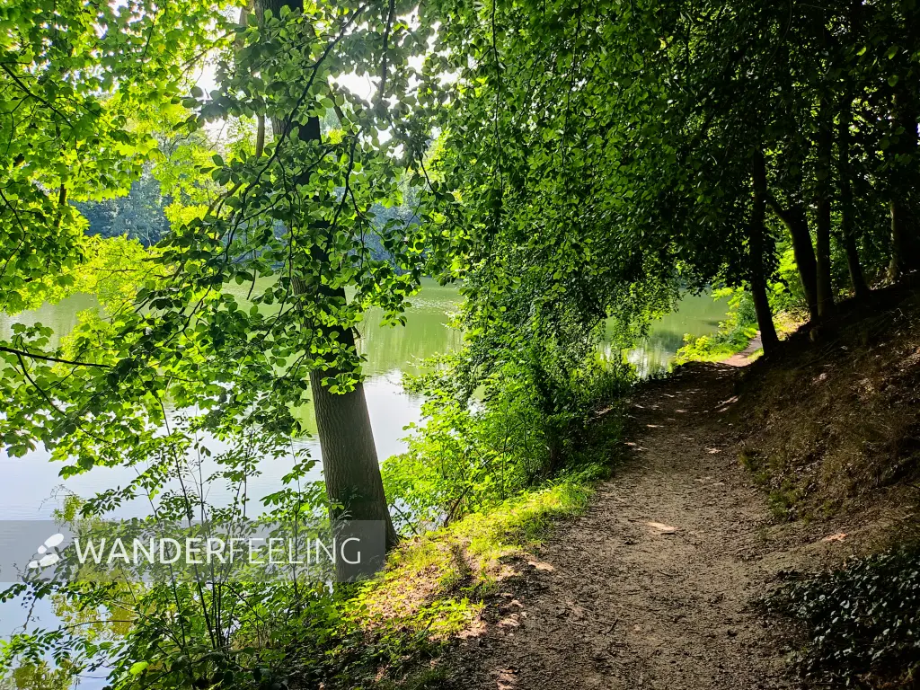 202308220-01 - Horstsee in Stade, Niedersachsen, Deutschland