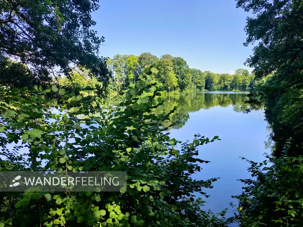202308220-03 - Horstsee in Stade, Niedersachsen, Deutschland