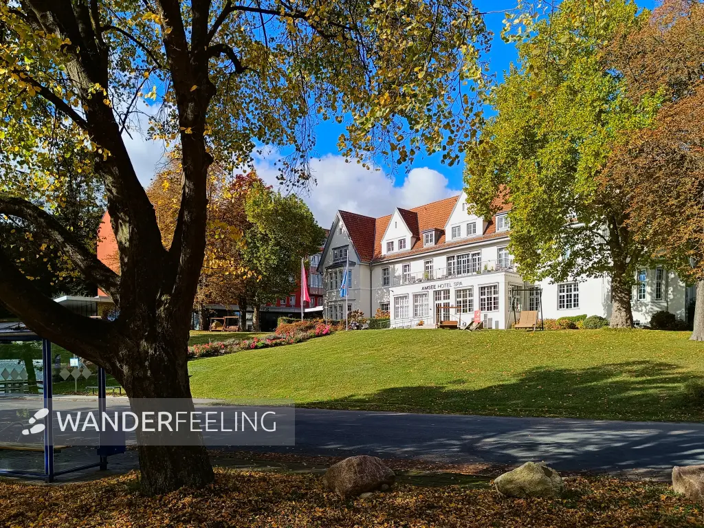 202510180-12 - Hotel in Amsee, Mecklenburgische Seenplatte, Mecklenburg-Vorpommern, Deutschland