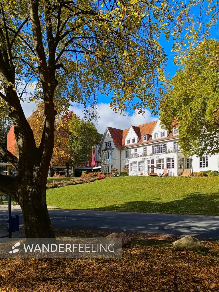 202510180-13 - Hotel in Amsee, Mecklenburgische Seenplatte, Mecklenburg-Vorpommern, Deutschland