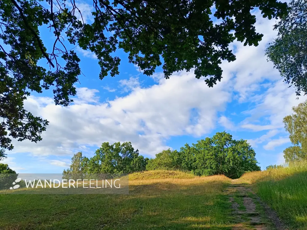 202606090-20 - Hügelgrab auf dem Hauptmannsberg bei Carwitz, Mecklenburgische Seenplatte, Mecklenburg-Vorpommern, Deutschland