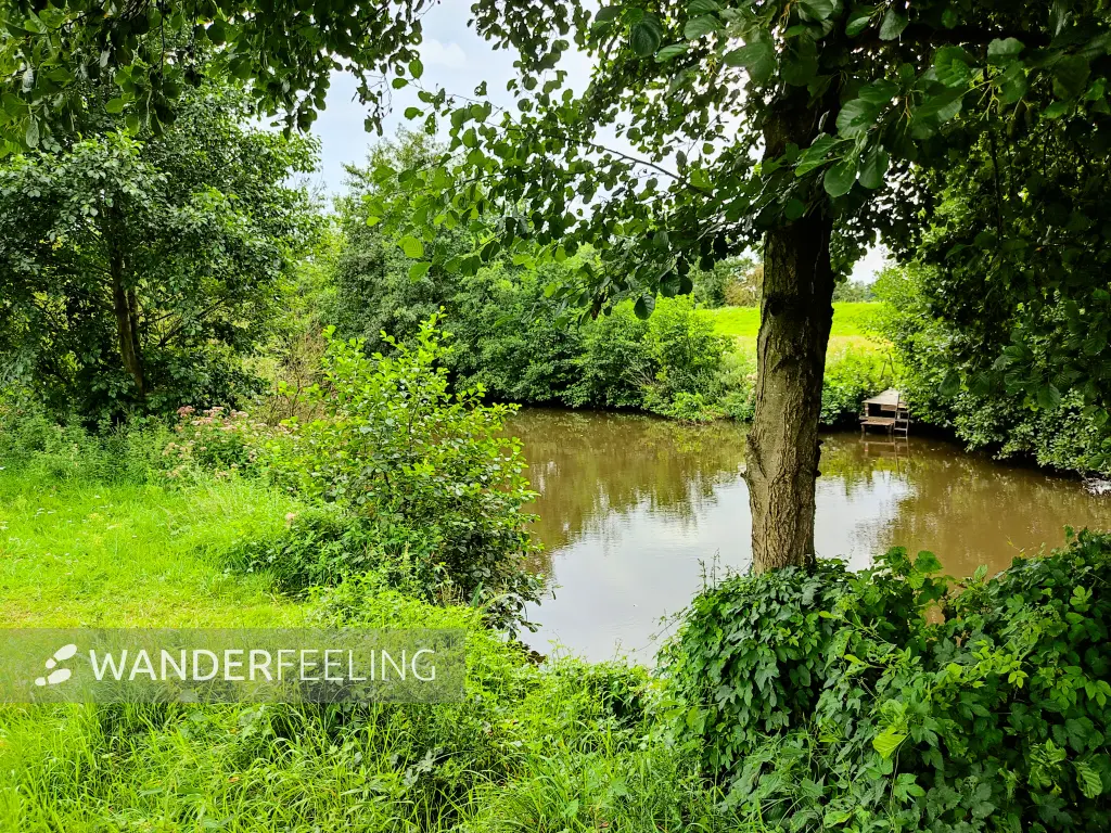 202308160-04 - Hunte bei Wardenburg, Oldenburger Land, Niedersachsen, Deutschland