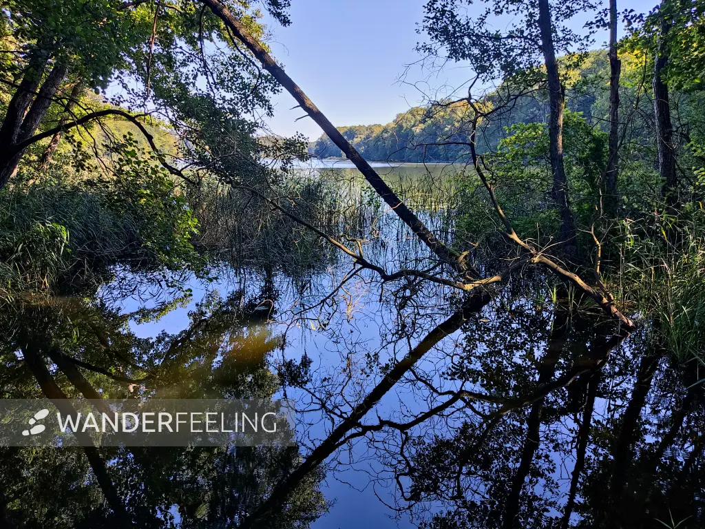 202309040-25 - Huwenowsee bei Meseberg, Ruppiner Seenland, Brandenburg, Deutschland